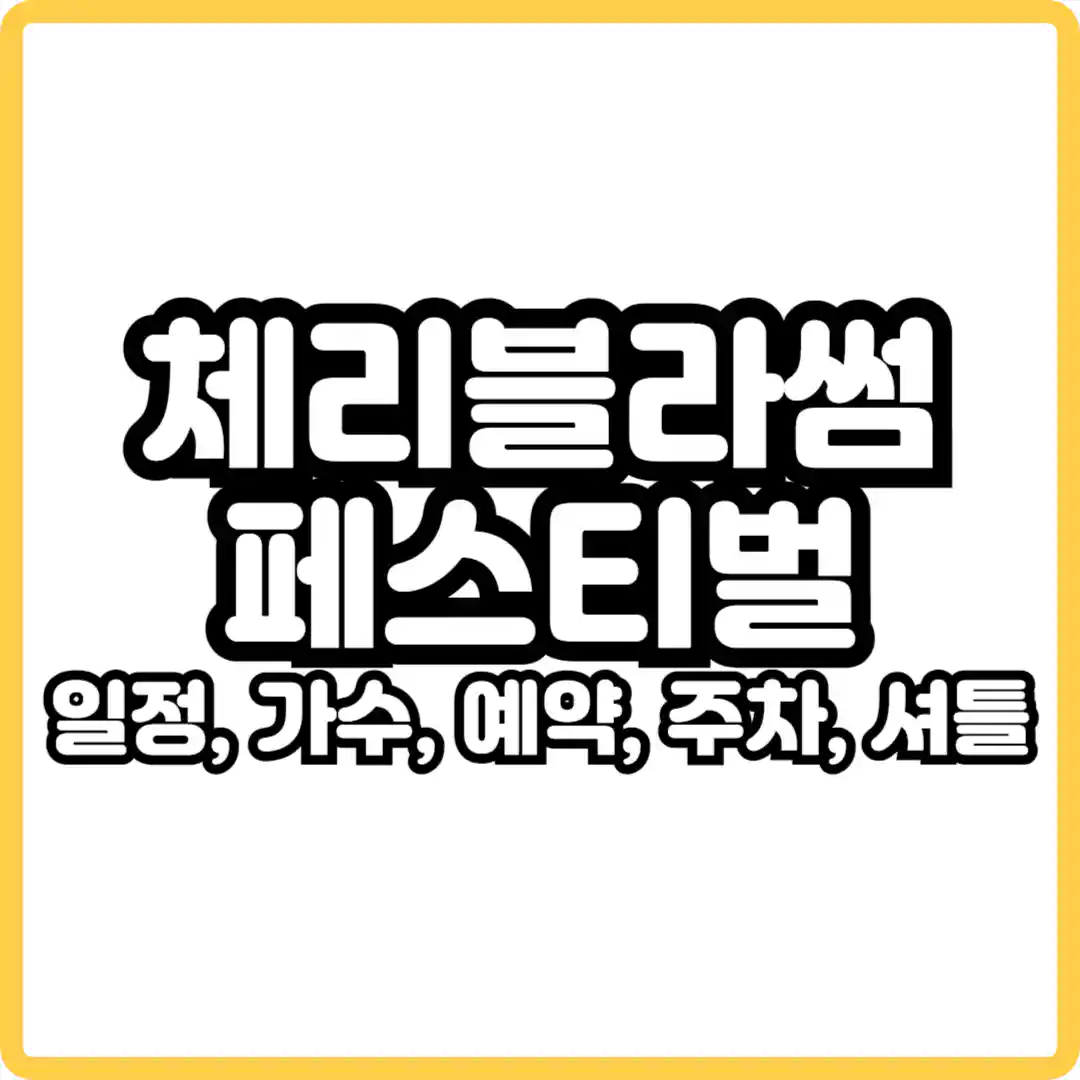 체리블라썸 뮤직페스티벌