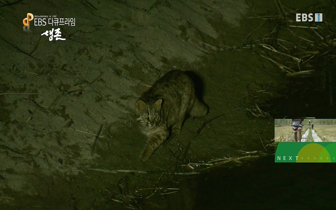 생존 3부_ EBS 다큐프라임_ 220629.avi_20220701_210614.404.jpg
