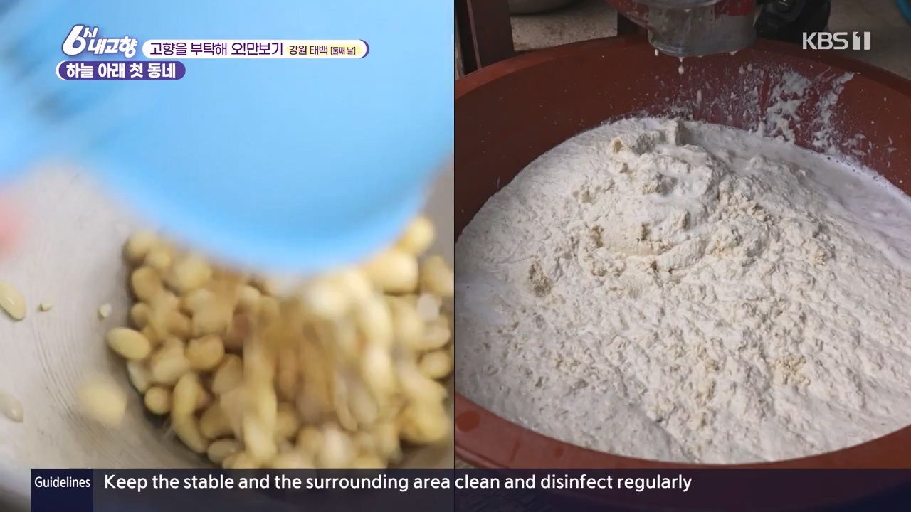 6시 내고향.E7910.231032p-NEXT.mp4_20231101_204612.772.jpg