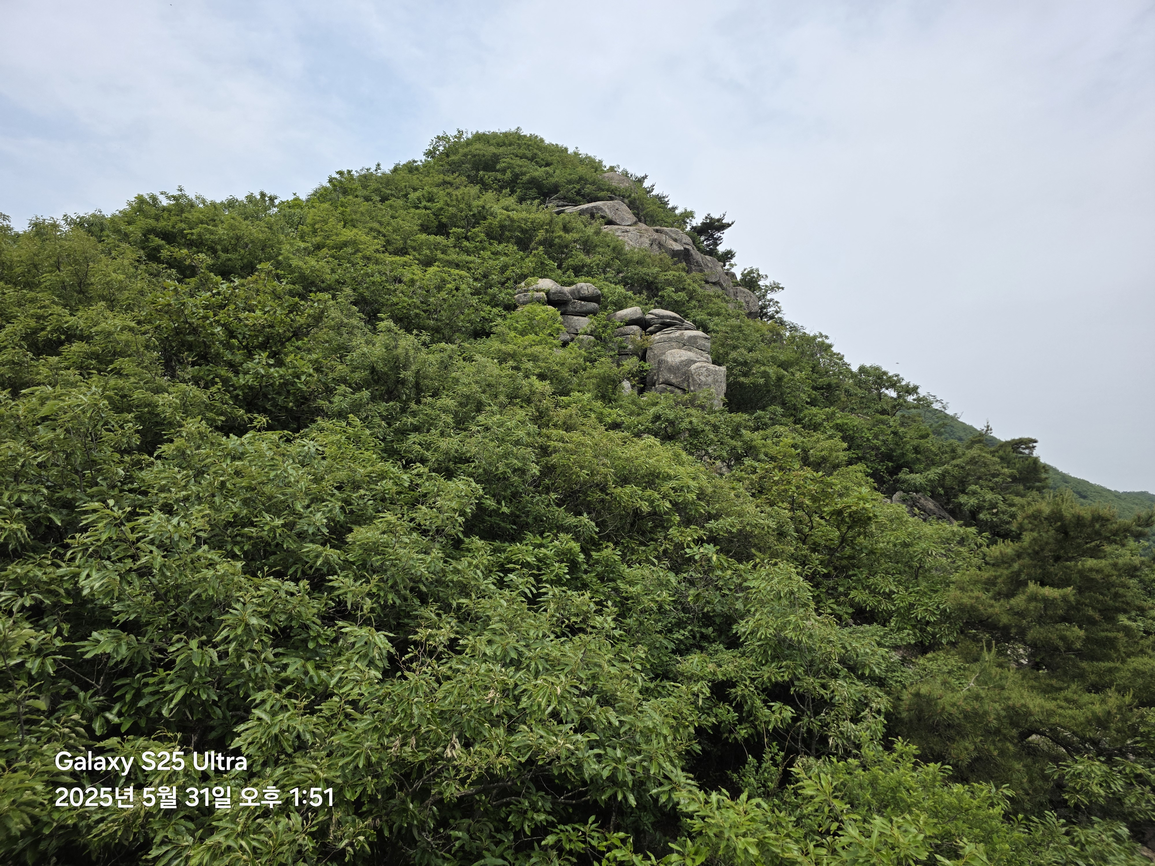 고성산 조망 이미지