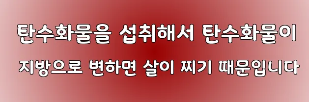  탄수화물을 섭취해서 탄수화물이 지방으로 변하면 살이 찌기 때문입니다