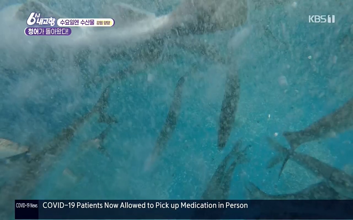 6시 내고향.E7505.220407p.H264-F1RST.mp4_20220411_180231.871.jpg
