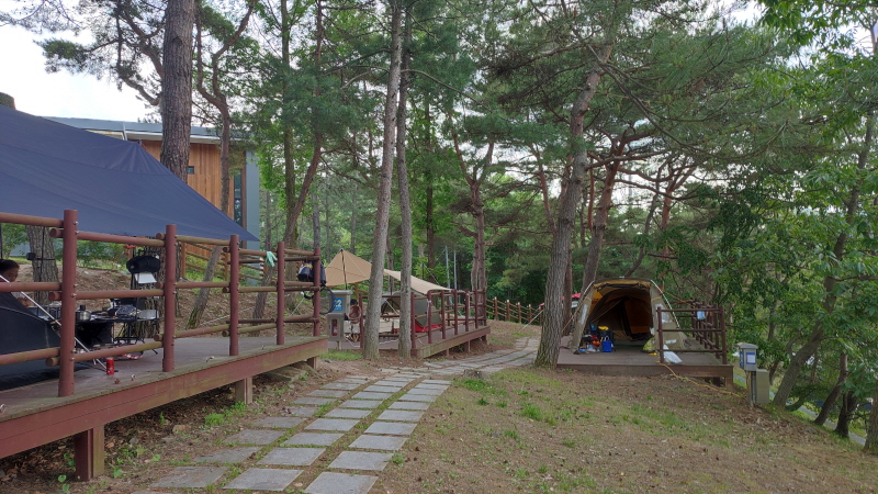 청주 옥화자연휴양림 방문후기 / 사이트정보