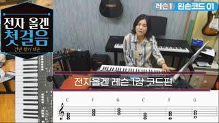  전자올겐 기초 레슨 - 총 18 강