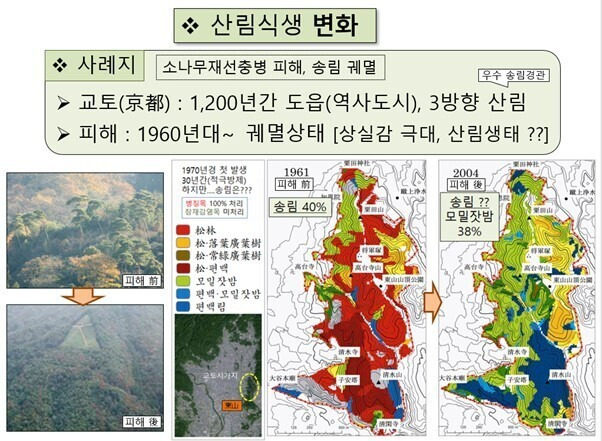화수목 이미지