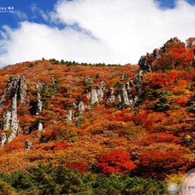 한라산(사진출처: 국립공원공단)