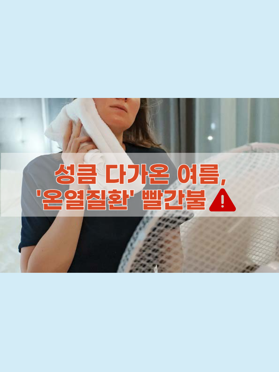 바디짐 이미지