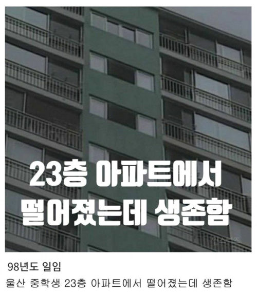  23층에서 떨어졌는데 생존