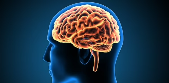  뇌가 휴식하면 2배의 효과...혹사 시키면 역효과 Taking five minute 'brain breaks' can increase productivity in tasks...