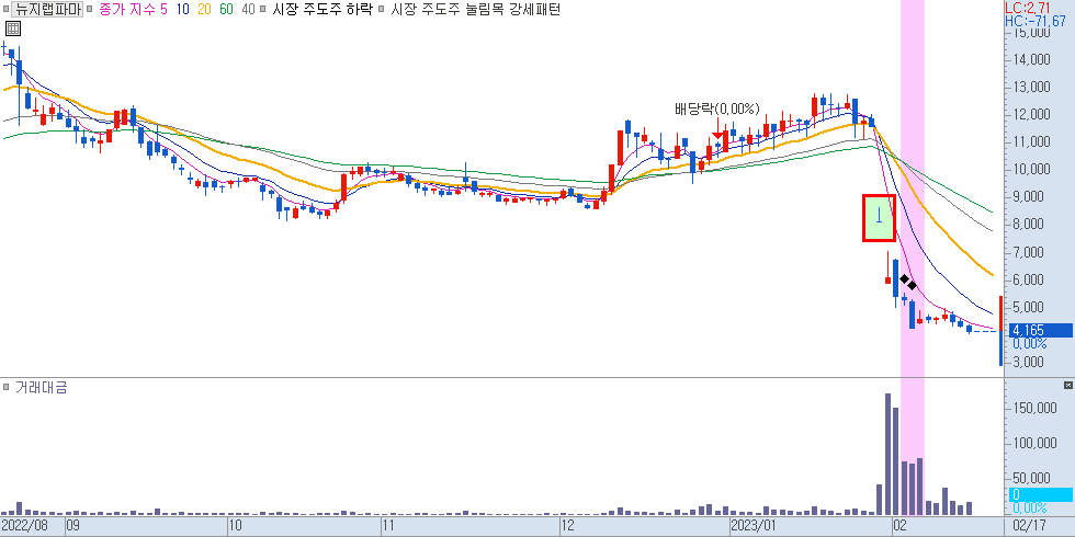 뉴지랩파마 차트