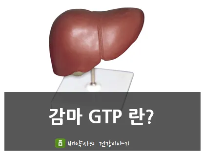 감마지피티 높으면 수치 정상화_9