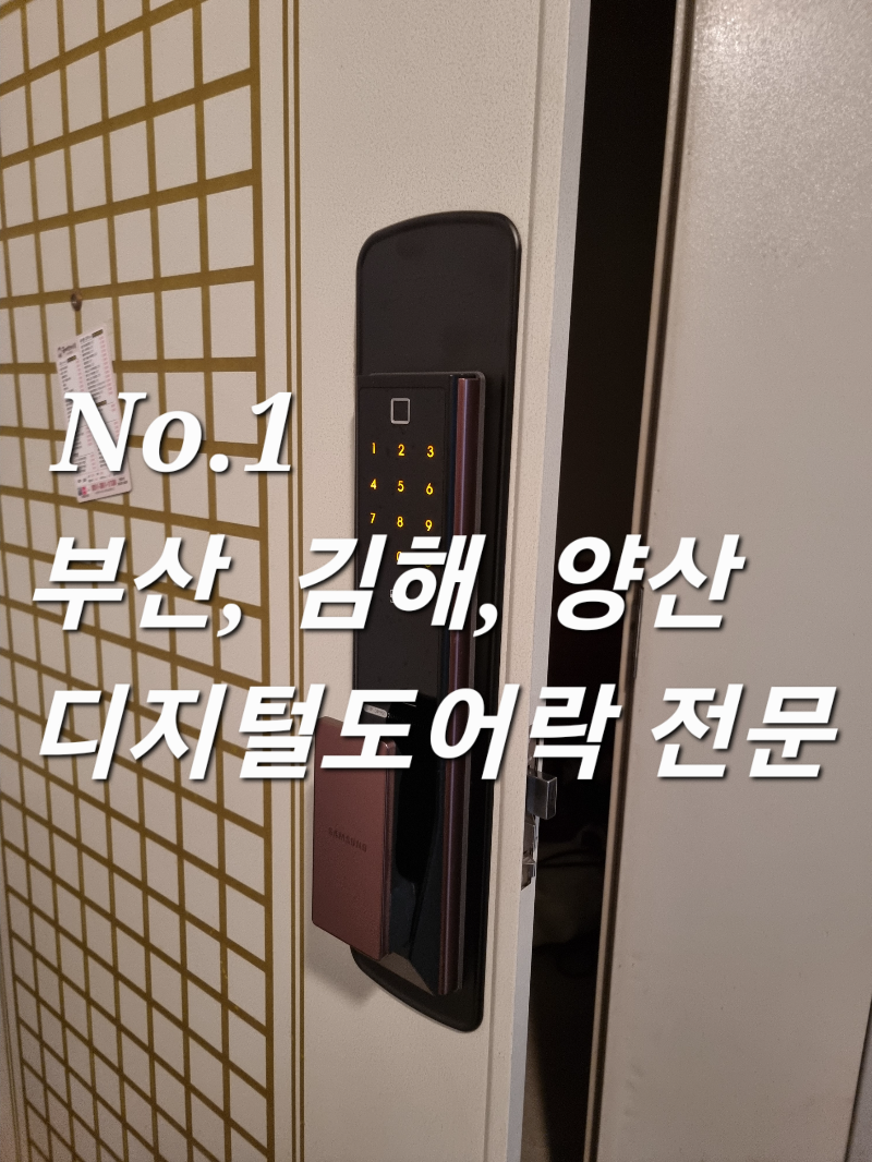 부산 북구 화명동 현관문 디지털 도어락 전자키 번호키 설치 전문