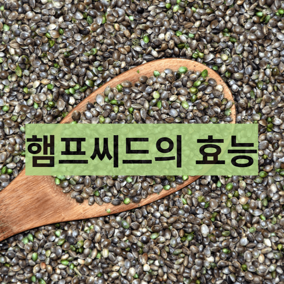  햄프씨드, 대마종자의 효능과 궁금증 해소