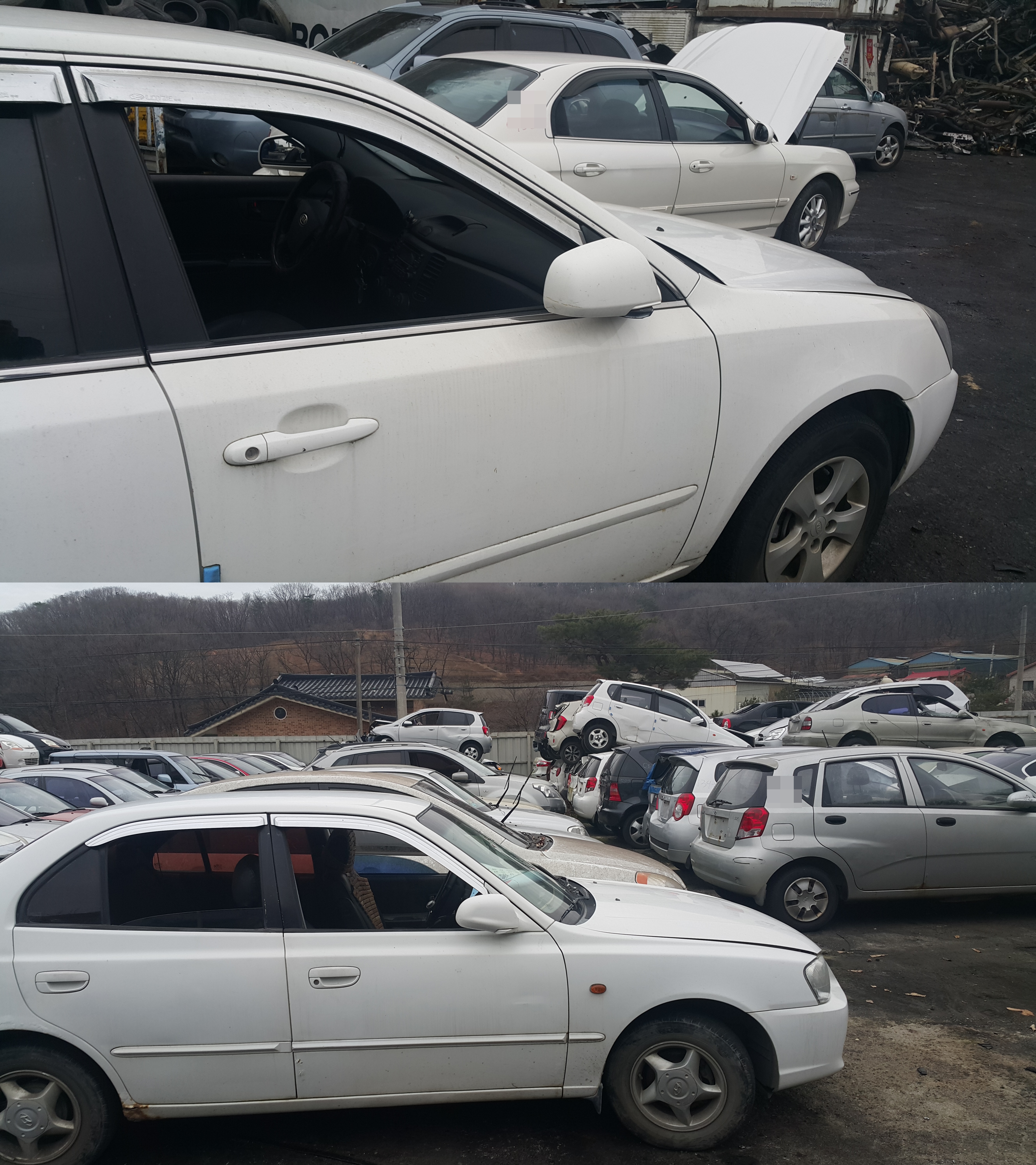  테라칸 조기폐차 정확한 설명