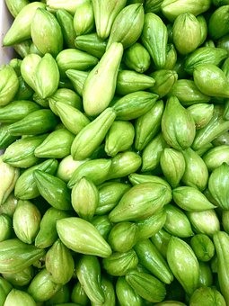 차요테 효능