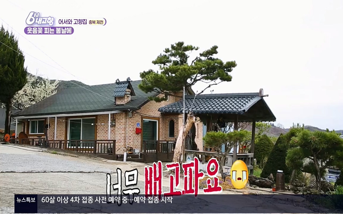 6시 내고향.E7518.220426p.H264-F1RST.mp4_20220504_192805.493.jpg