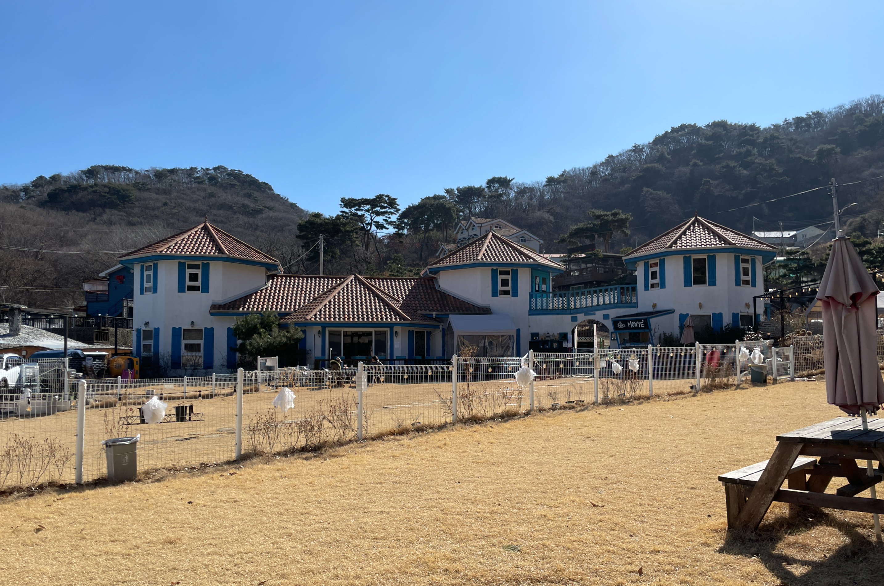 견생 6개월차 골댕, 견생 첫 천연 1