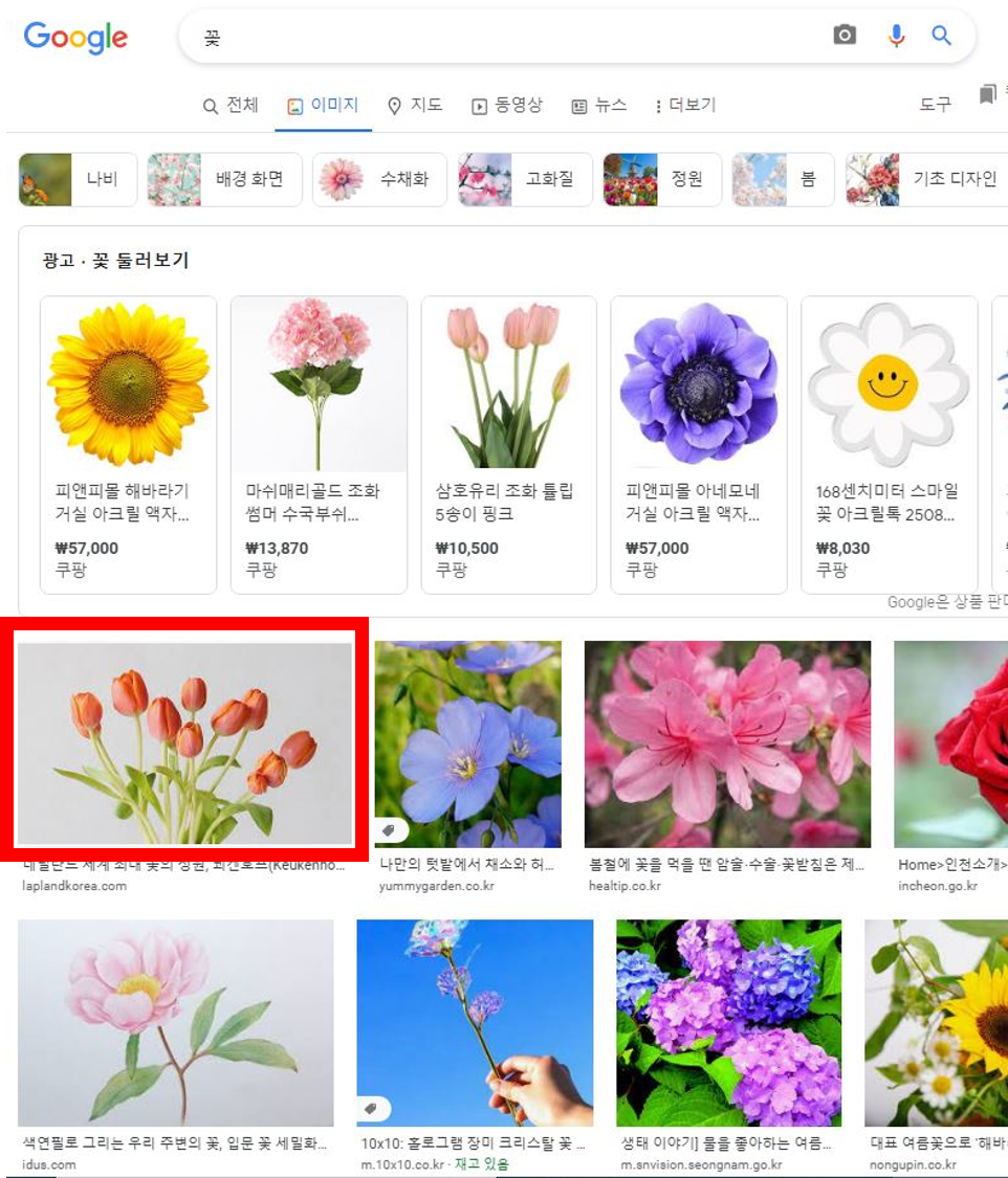 구글-꽃-검색