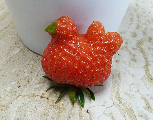 img.jpg