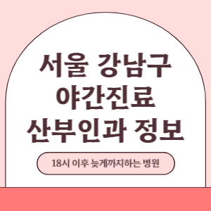 서울 강남구 야간진료 산부인과 병원 (18시 이후 늦게까지하는 병원)
