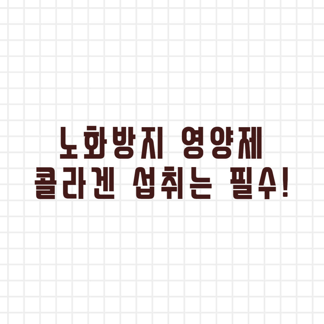  노화방지 영양제 추천 Best 3