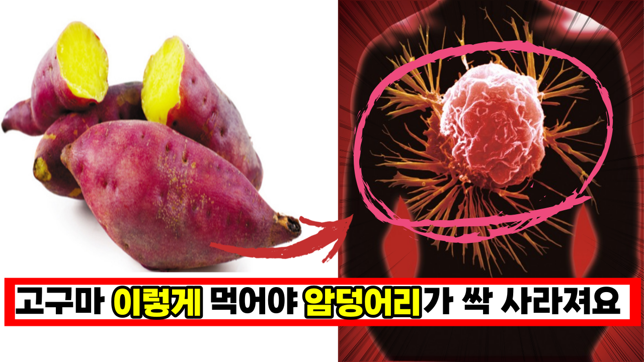  고구마 꼭 이렇게 드세요. 꼭 이렇게 먹어야 암덩어리가 싹 사라집니다.