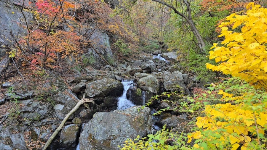 소백산국립공원 희방사코스 이미지