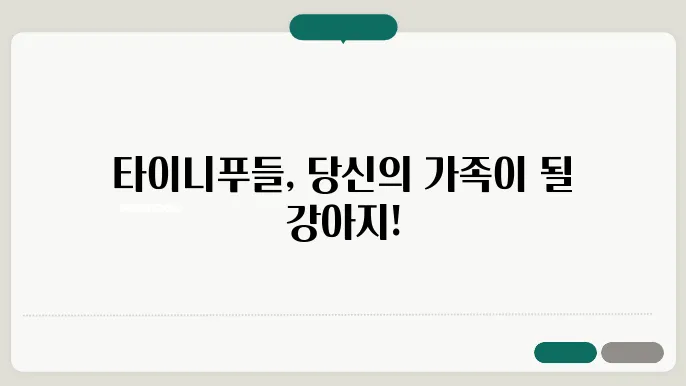 타이니푸들 가격, 겇1이 되어줄 강아지