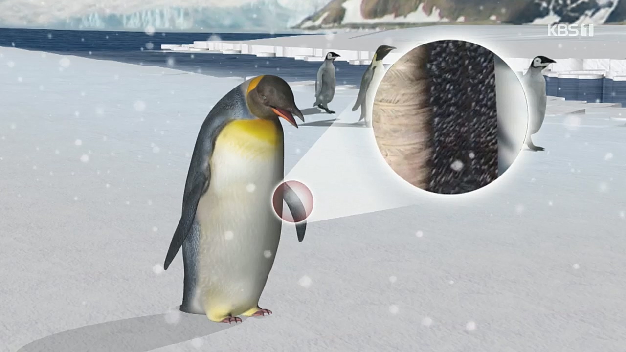 생로병사의 비밀.E847.221215p.H264-F1RST.mp4_20221215_202306.385.jpg