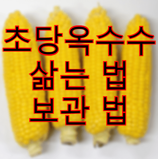 초당옥수수-삶는-법