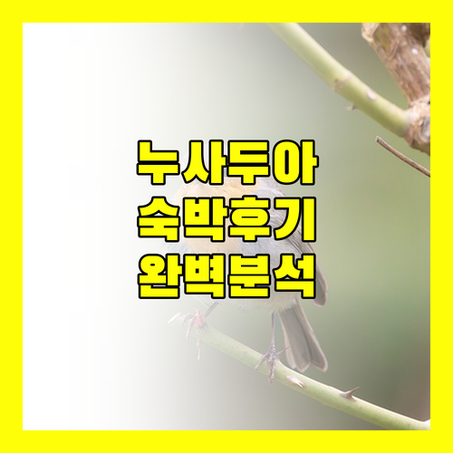 누사두아 완벽 분석 라 베르수즈 리조
