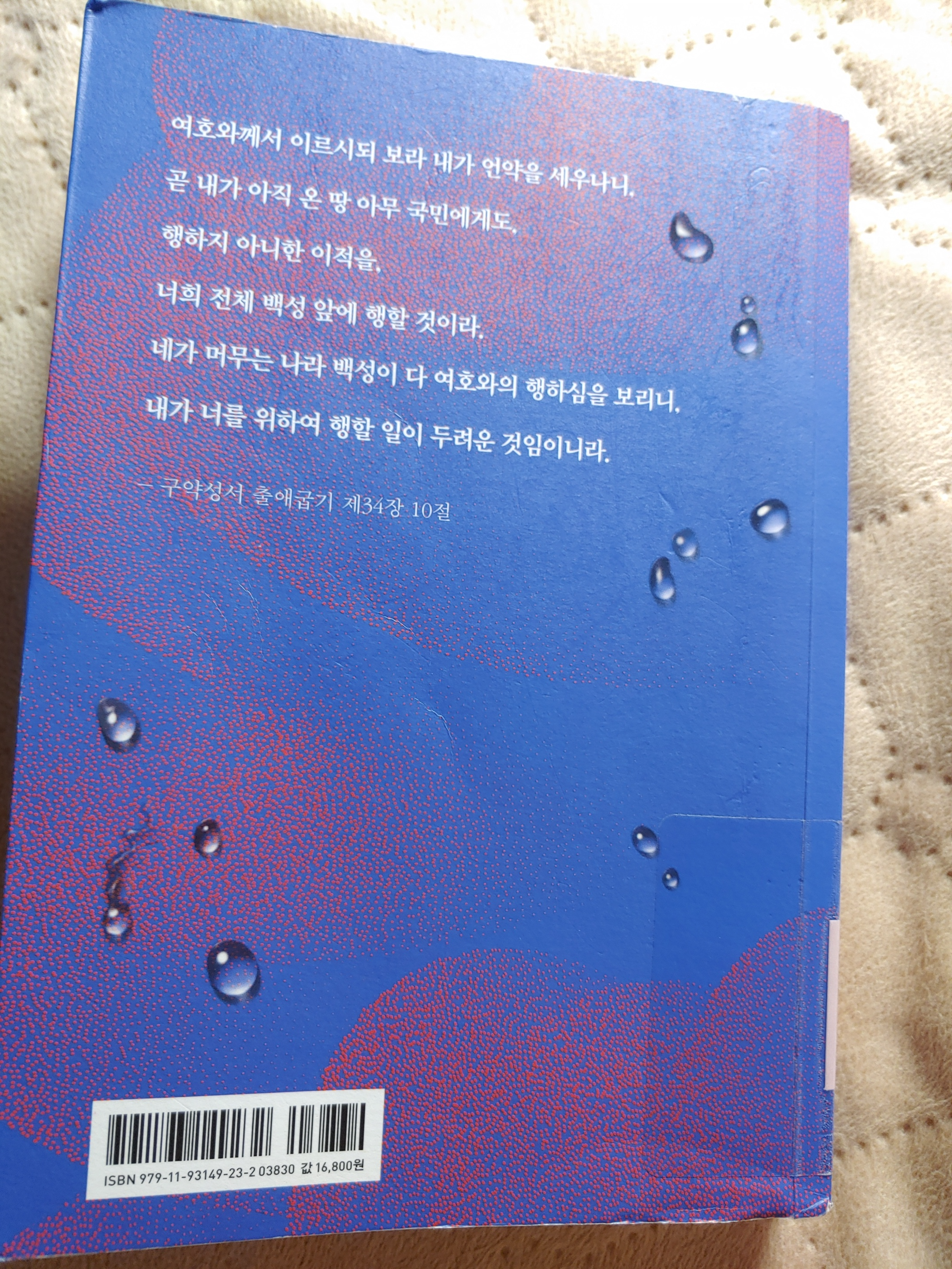 하루오 이미지