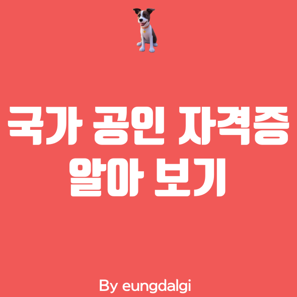  국가 공인 자격증에 대해