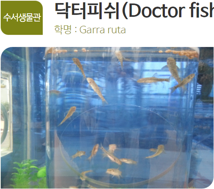 아산 생태곤충원