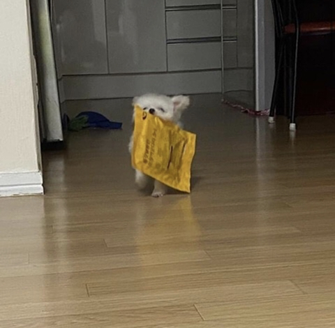  누나 이거 뜯어줘 빨리이