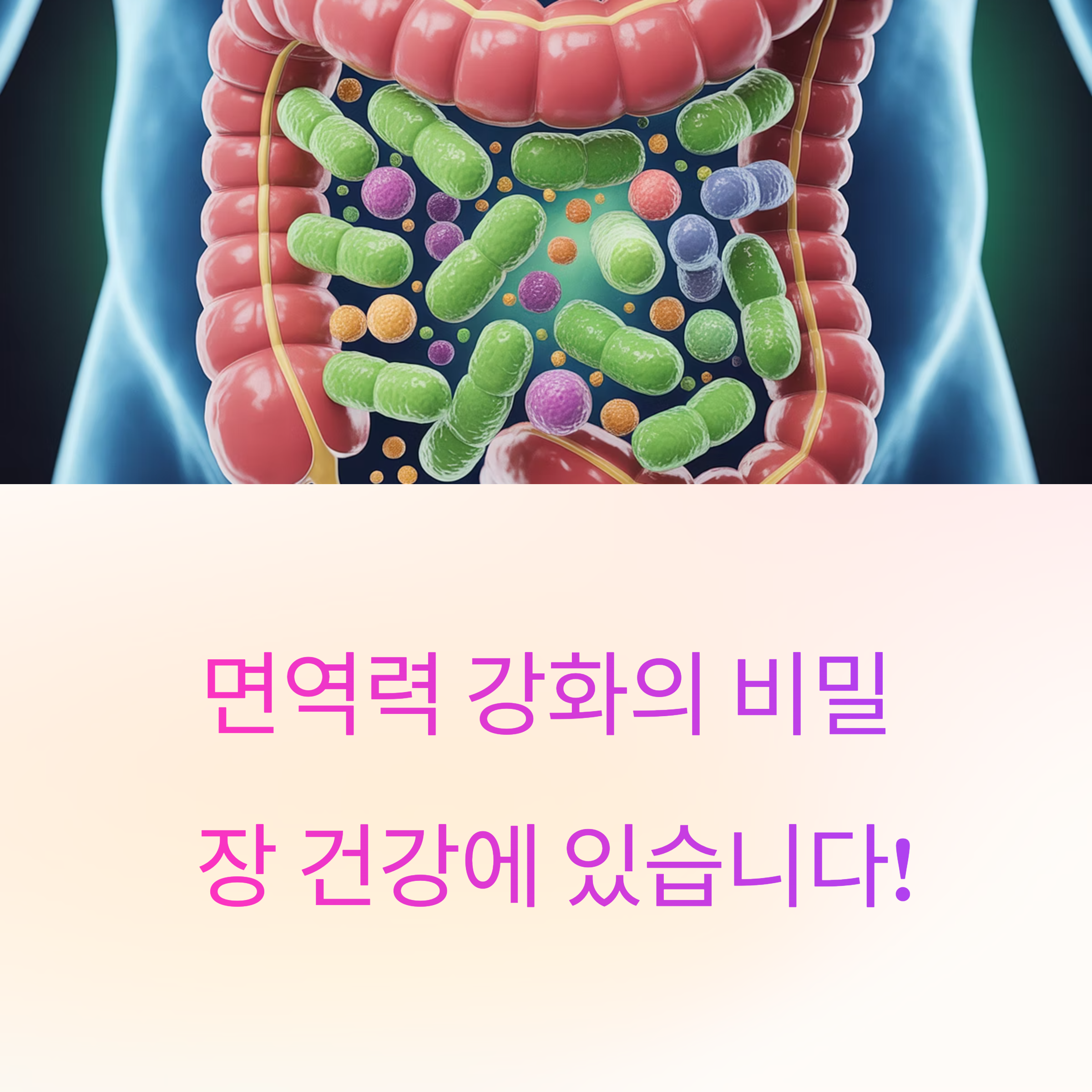 장 건강부터 챙겨라!