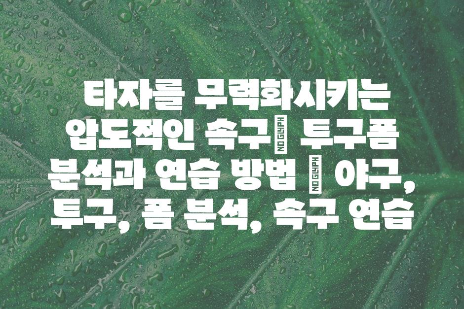 샘플 (44)