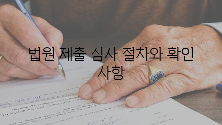 법원 제출 심사 절차와 확인 사항