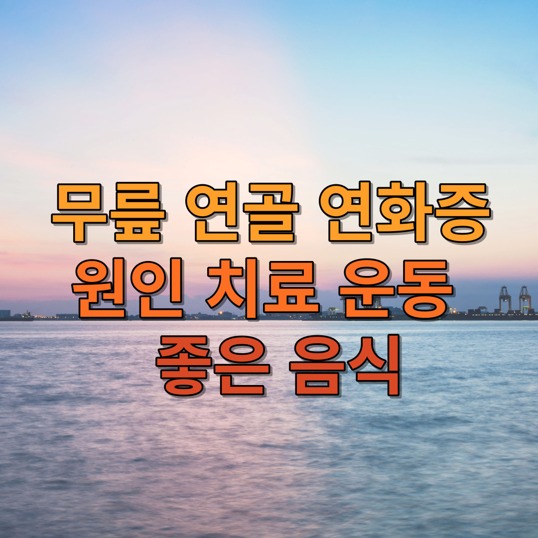 무릎 연골 연화증 원인 치료 운동 및 좋은 음식