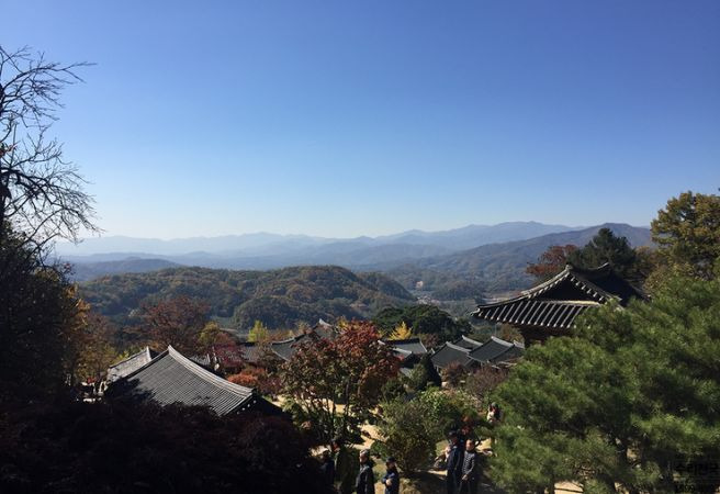 일심통상 이미지