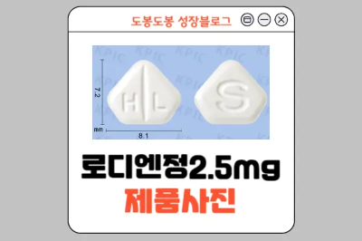 로디엔정 2.5mg 성상정보