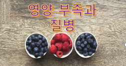  아이 영양 부족의 위험과 질병