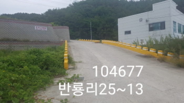 부산동부지원2021타경104677  반룡리25-12 도로