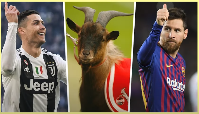 메시 GOAT 뜻