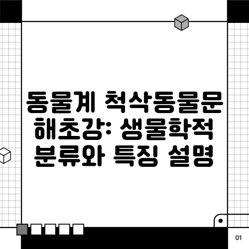 동물계 척삭동물문 해초강: 생물학적 분류와 특징 설명