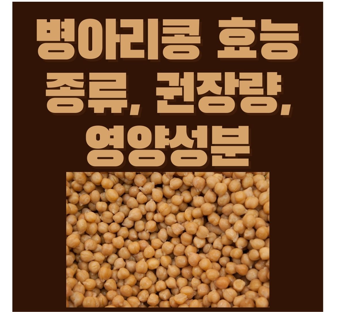 병아리콩-효능-종류-권장량-영양성분-포스터