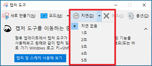 캡처 도구 지연