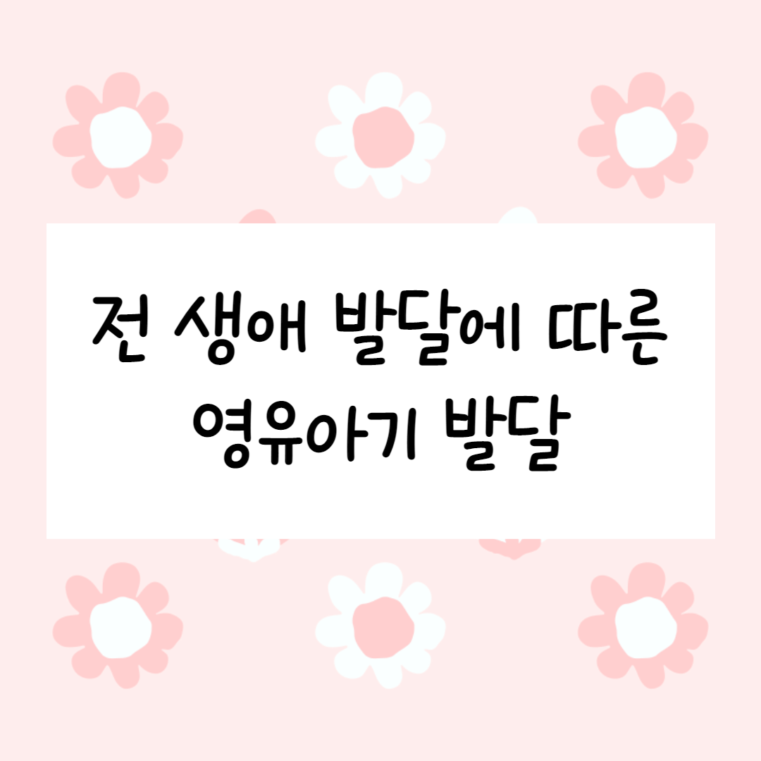  전 생애적 접근에 따른 영아기, 유아기, 영유아기 발달