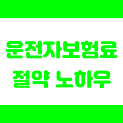  운전자보험료 얼마? 이렇게 절약하세요!