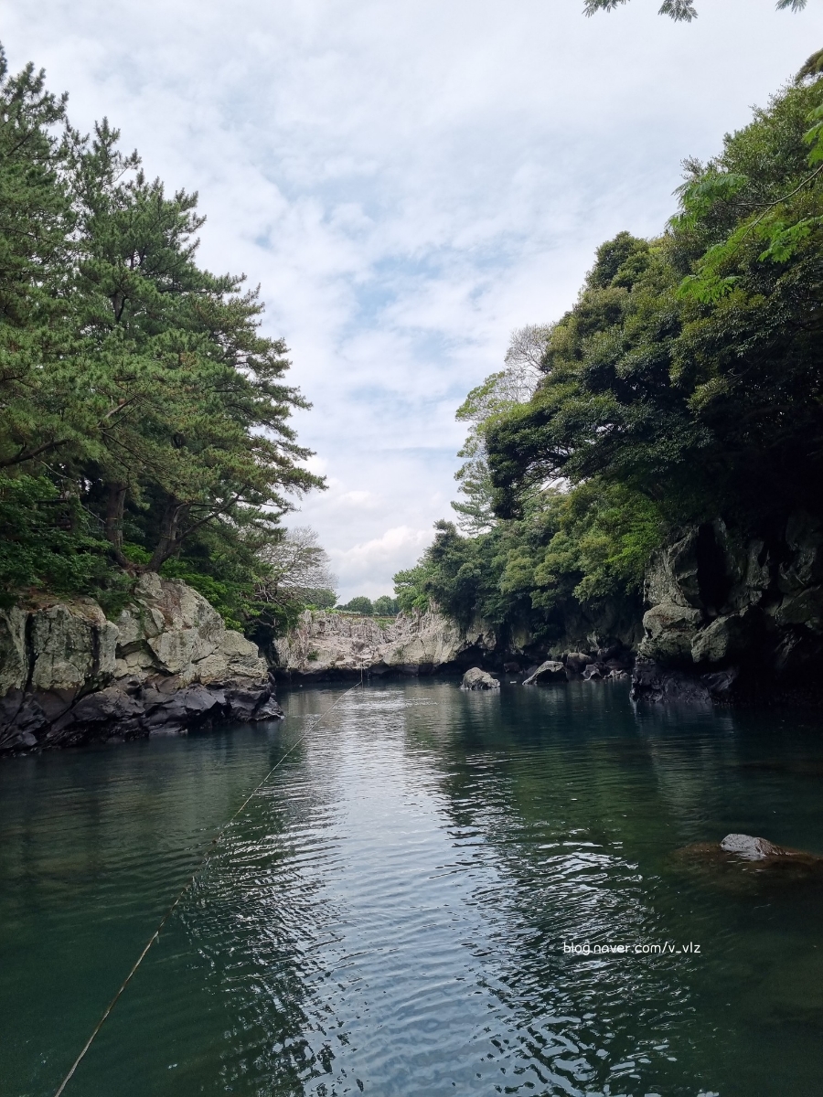 함께라면 전통테우 탑승 후기 제주 쇠소깍 어린 아이들과 45